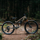 Knolly Endorphin XT MX29 Champagne / X-Small Bikes - Mountain