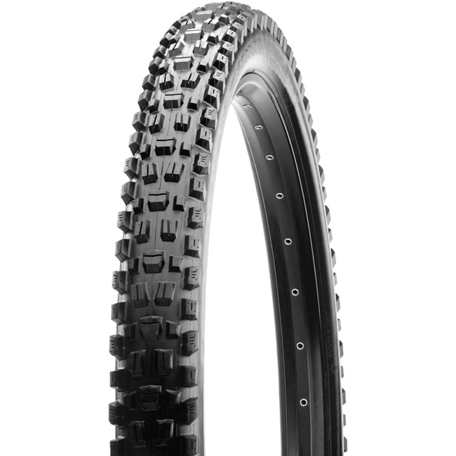 Maxxis Assegai Tire - 29 x 2.5, Tubeless, Folding, Black, Dual, EXO, WT Mountain Tires