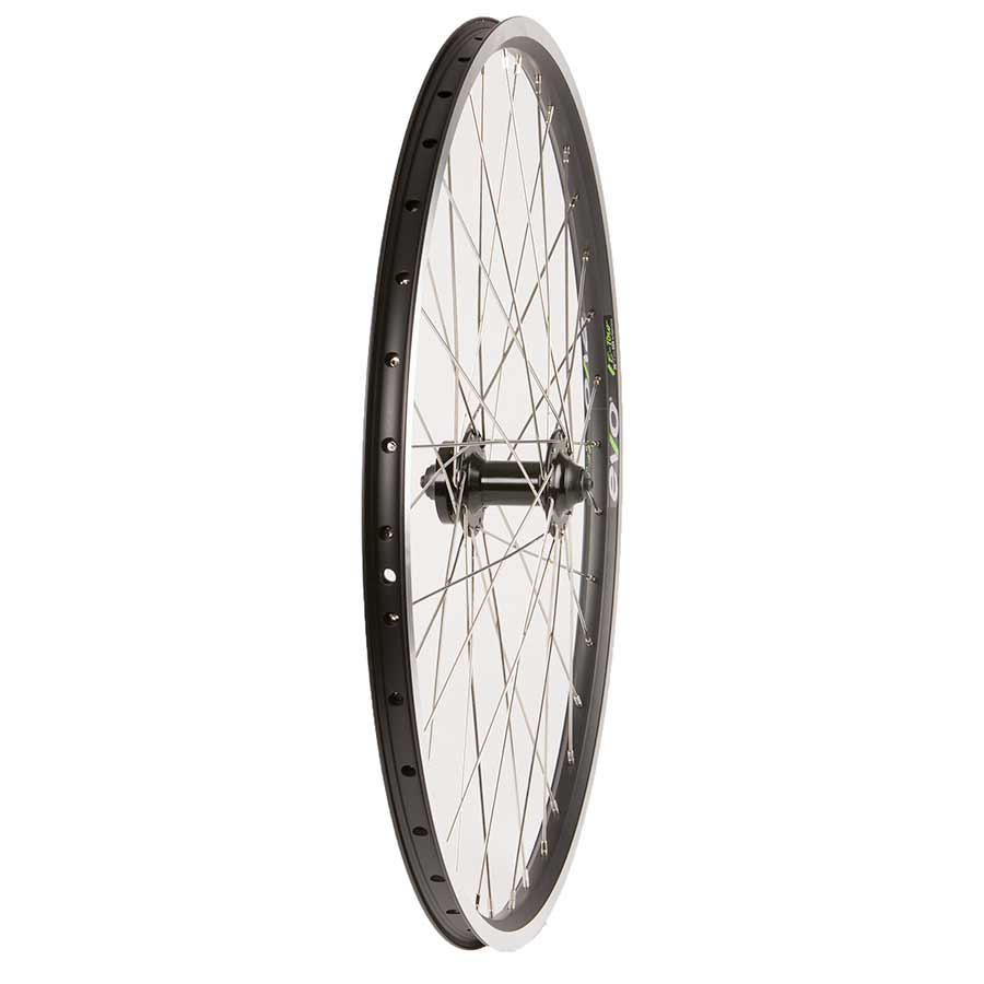 Wheel Rear 26", 36H Black Frmula DC-22 QR 8-10spd 6 Blt Disc Hub, Stainless Spkes DC-20, Wheel, Front, 26'' / 559, Holes: 36, QR, 100mm, Rim and Disc IS 6-bolt / 26 Wheels