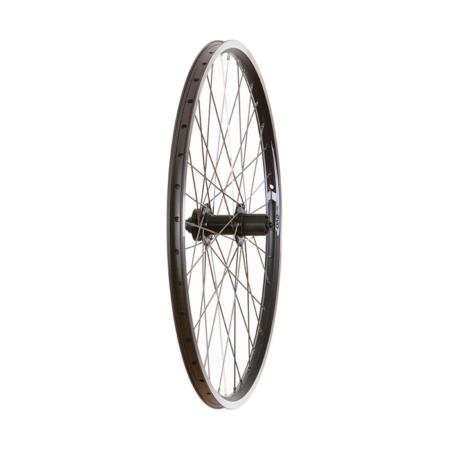 Wheel Rear 26", 36H Black Frmula DC-22 QR 8-10spd 6 Blt Disc Hub, Stainless Spkes DC-22, Wheel, Rear, 26'' / 559, Holes: 36, QR, 135mm, Rim and Disc IS 6-bolt, Shimano HG / 26 Wheels