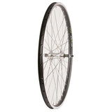 Wheel Rear 26", 36H Black Frmula DC-22 QR 8-10spd 6 Blt Disc Hub, Stainless Spkes Wheels