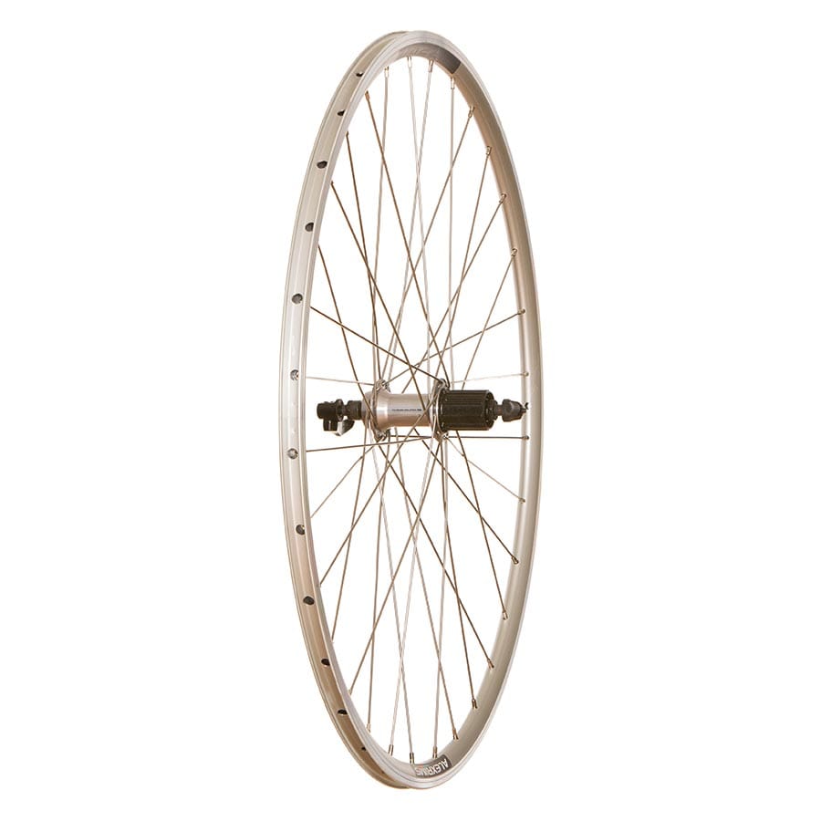 Wheel Shop Alex DA22/ Shimano RS400 Silver FH-RS400 Silver, Wheel, Rear, 700C / 622, Holes: 32, QR, 130mm, Rim, Shimano HG 11 / 700 Wheels